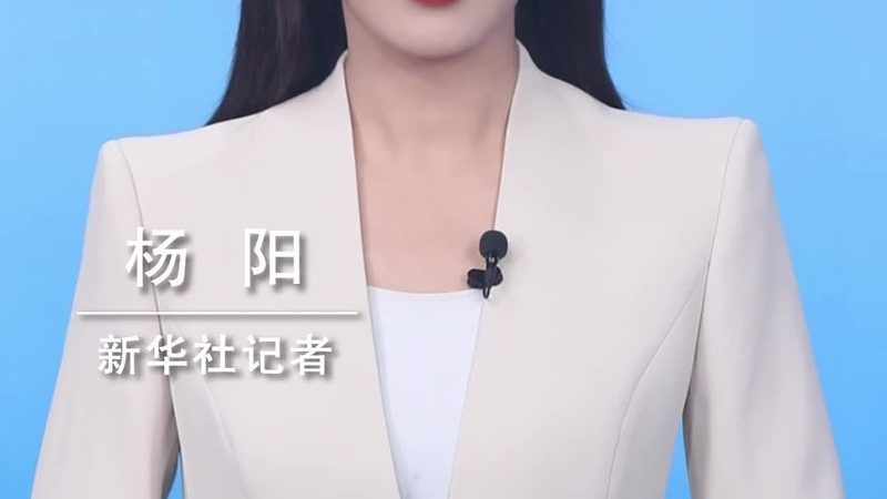 供应链管理软件的核心价值与实施挑战
